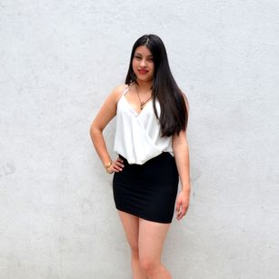 Model - ROUSE_STEFAN 6