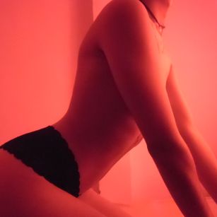 Model - Wendy Hills shorthair