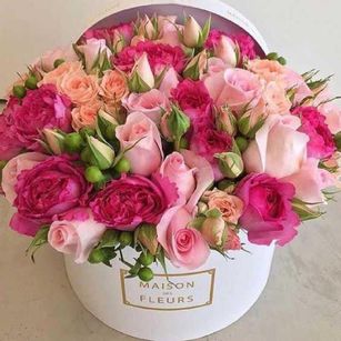 Model - Sexyisabele777 dilddo