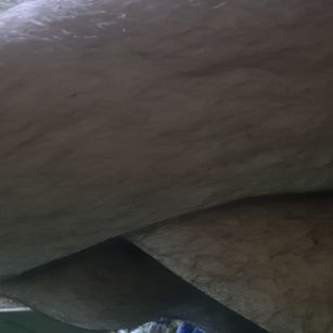 Model - Fuzzywasse LovenseEdge