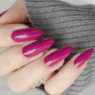 Model - Supreme Domina CBT