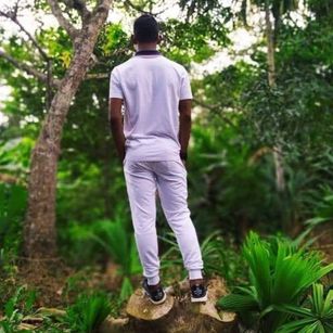 Model - Soy danni oil