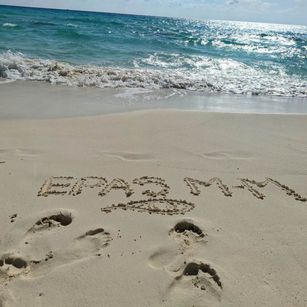 Model - Androide23 fastresponse