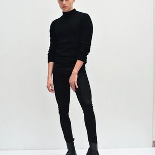 Model - daniel horse new