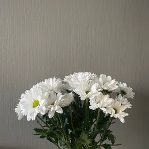 Model - Freaky_Sasha talkative