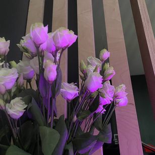 Model - Freaky_Sasha student