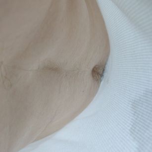 Model - Quietcody bush