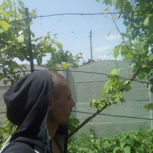 Model - BobbyNavyLa striptease