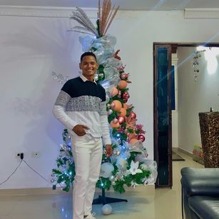 Model - leonarboy sph