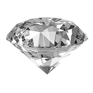 Model - leonarboy slave