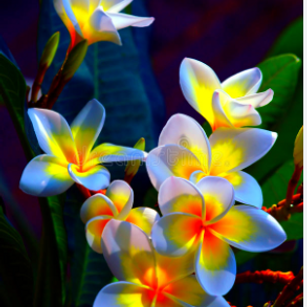 Model - Karina23 Funny