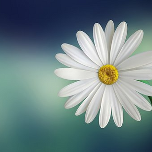 Model - Karina23 Blonde