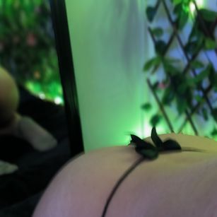 Model - rukkia roleplay