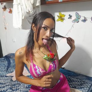 Model - Lisahot pies