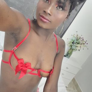 Model - OlivieLeroy anal