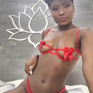 Model - OlivieLeroy domination