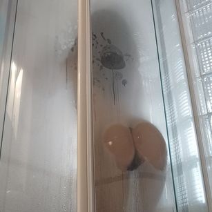 Model - emyfox19 submis