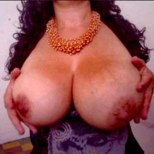 Model - thaliana PALMADA