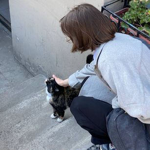 Model - Ask Audrey POV