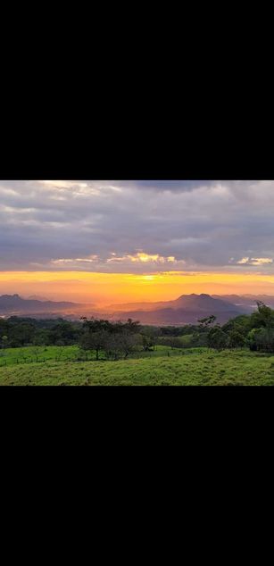 Model - Iris Moira blowjob