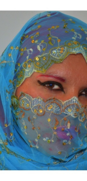 Model - MissVanityFox4u roleplay