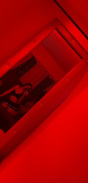 Model - Zamara Castillo dildo