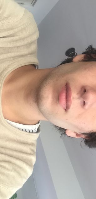 Model - xerneas student