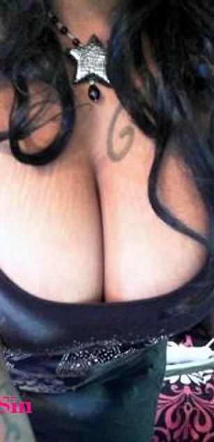 Model - Aricellis deSin 2