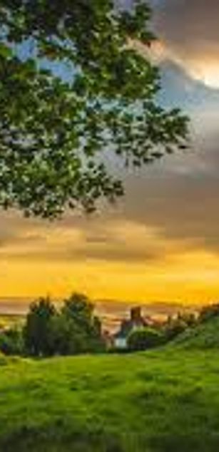 Model - Karina23 Blonde