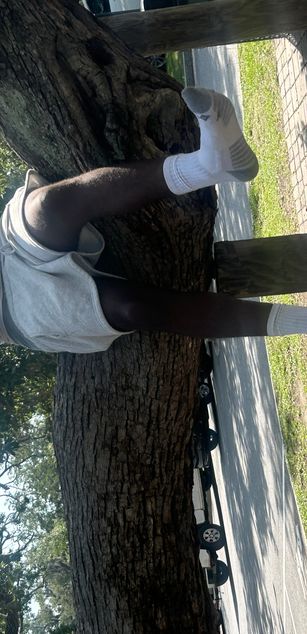 Model - BDBandit hairy