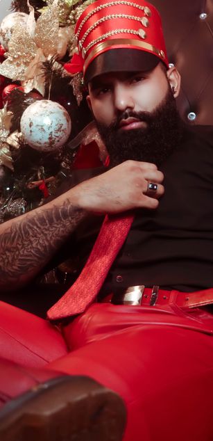 Model - VIGGO VOLKOVA DOM