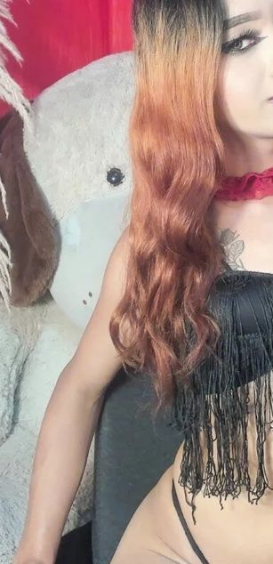 Model - JasminDivas transboy