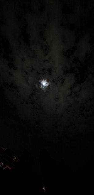 Model - Joss M. cute