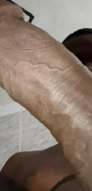 Model - Alex-2.9114 oil