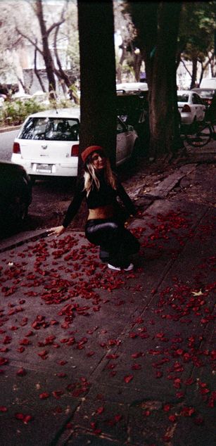 Model - Andromeda talk