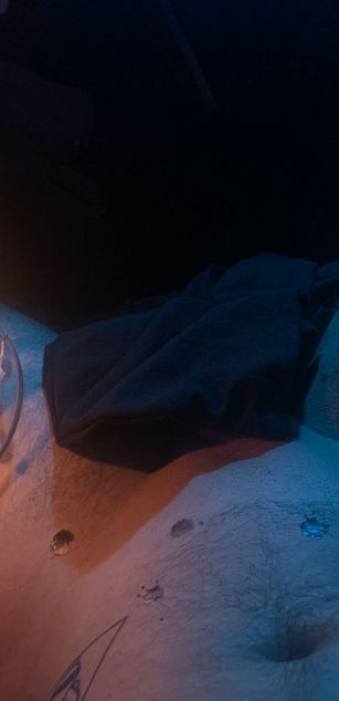 Model - Antonello Vanucci blowjob