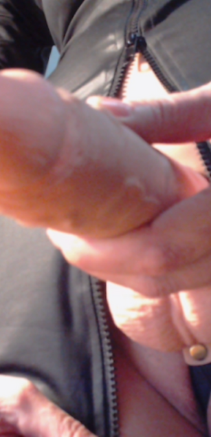 Model - MissDyannis nylon