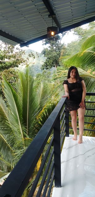 Model - Ratienterciopelo toys