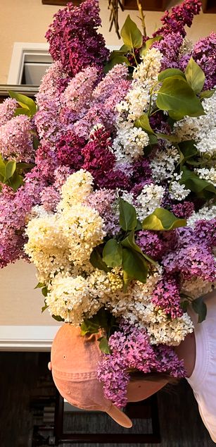 Model - ElseaBloom blowjob