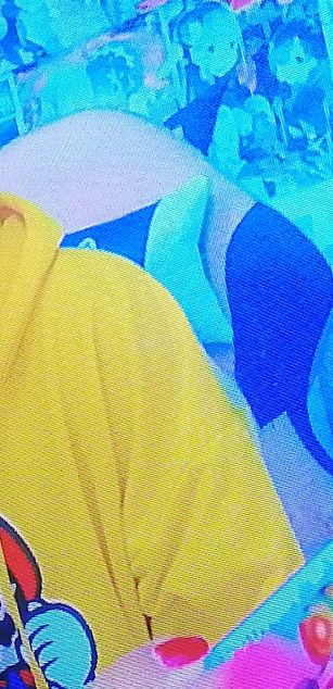 Model - ariakyubi petite