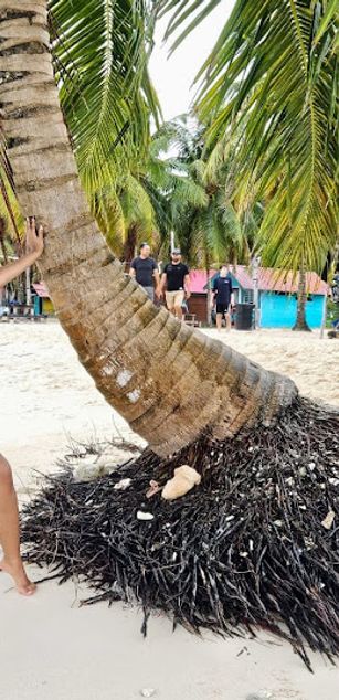 Model - Sienna Bell bigtits