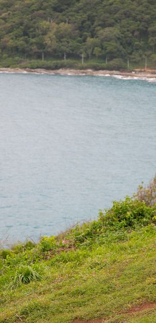 Model - TanyaxParker pantyhose