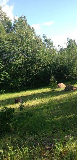 Model - Destinykiss toys