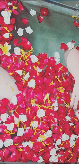 Model - Zara Rose toys