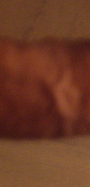 Model - jorge cardenas spank