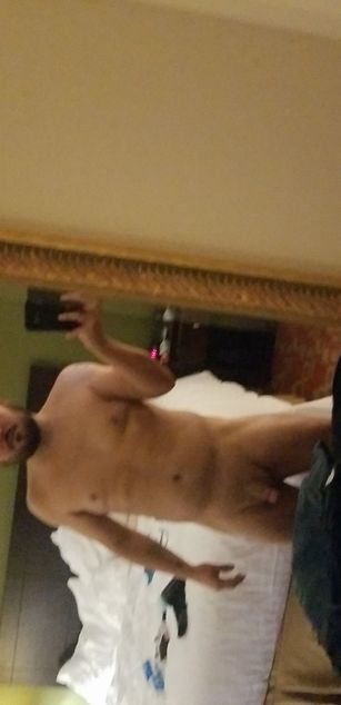 Model - SexyBrownBear 2