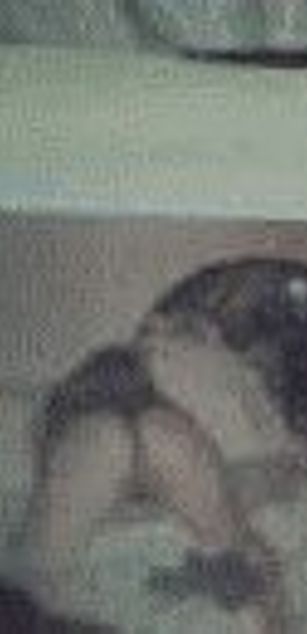 Model - sexytee313 letsplay