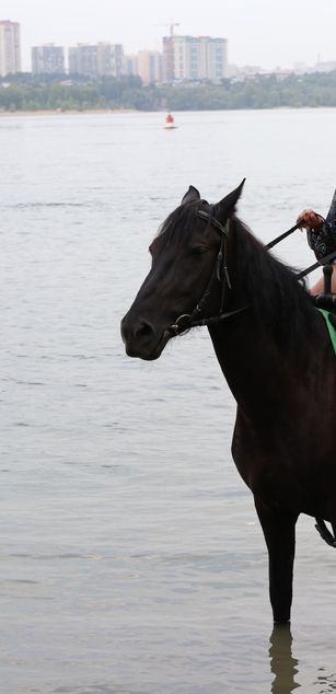 Model - Karamelka boots