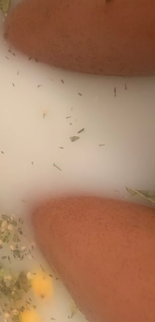 Model - Heavely Heaux dressup