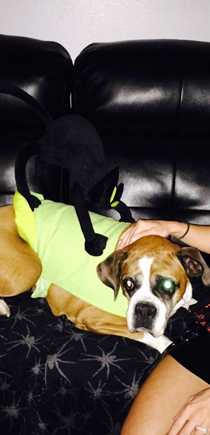 Model - Mistress T  2